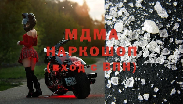 сатива Беломорск