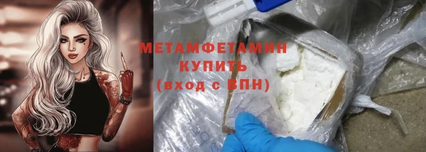 прущие грибы Балахна