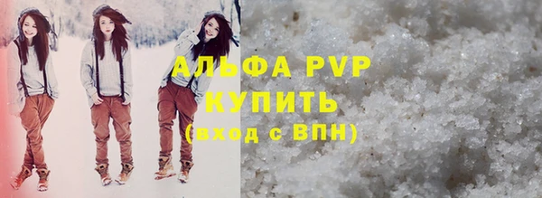 сатива Беломорск