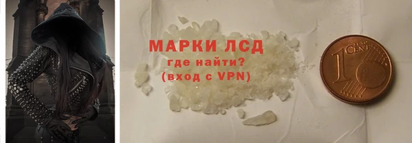 прущие грибы Балахна