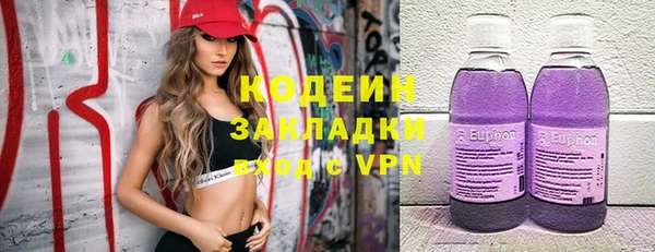 прущие грибы Балахна