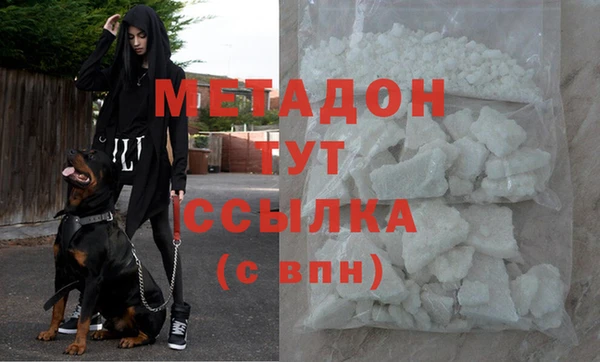 сатива Беломорск