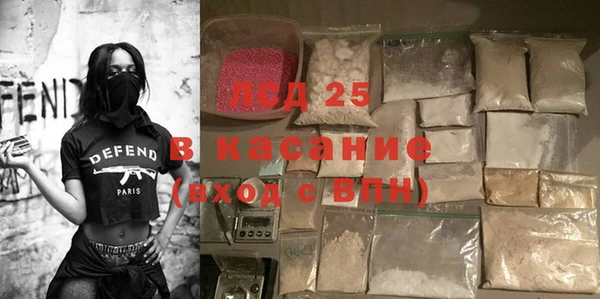сатива Беломорск