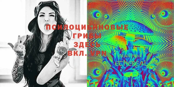 прущие грибы Балахна