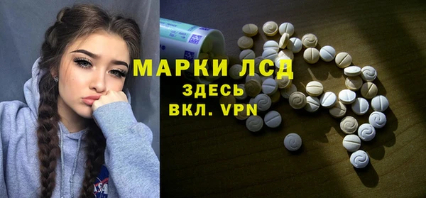 сатива Беломорск