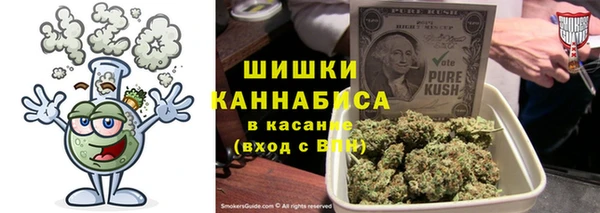 прущие грибы Балахна