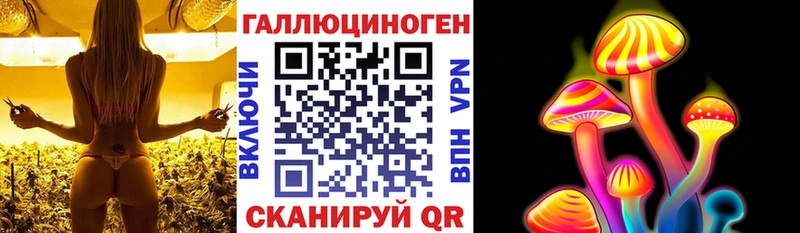 Псилоцибиновые грибы GOLDEN TEACHER Купить где Судак
